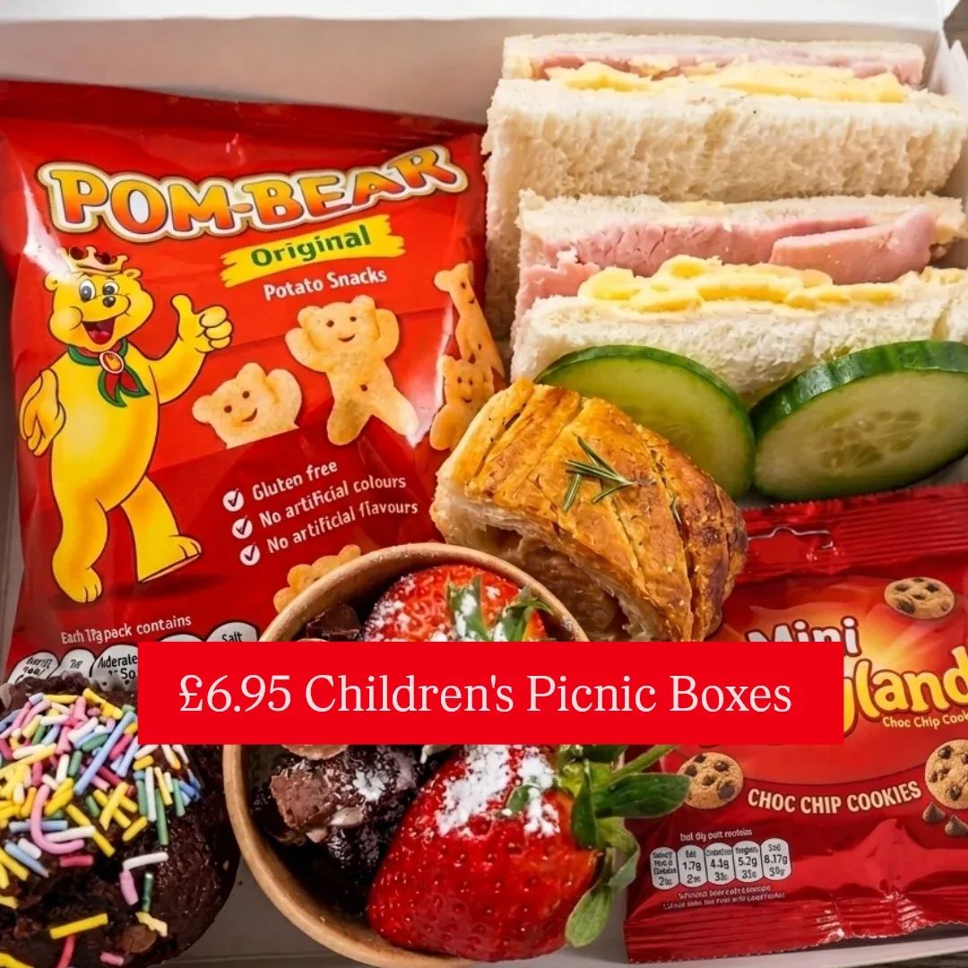 Childrens picnic box 26